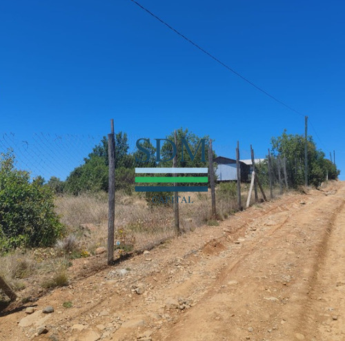 Venta Parcela 5000mts San Clemente