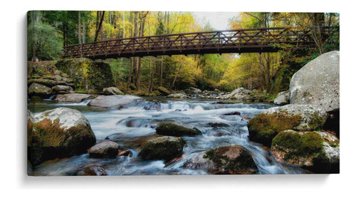 Canvas Lab Cuadro En El Panorama De Las Rocas 140x70