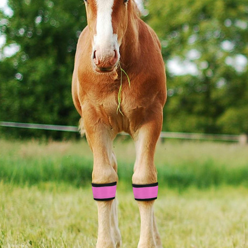 4 Bandas Led Brillantes Para Patas De Caballo, Reflectantes,
