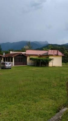 Imagem 9 de 14 de Sítio Em Pedro De Toledo-centro 4dorm Fácil Localização 3634