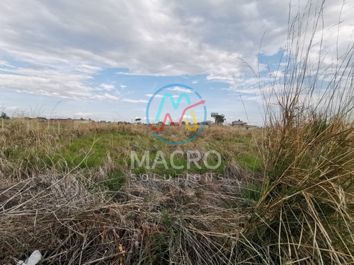 Terreno En Venta En Col. Tierra Larga Cerca De Plaza Atrios Con Conexión A Servicios