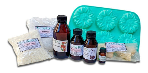 Combo: Fabricación Shampoo Sólido Natural Ecosmetica