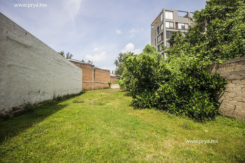 Imagen 3 de 14 de Terreno En Venta En La Colonia Cd. Granja, Zapopan