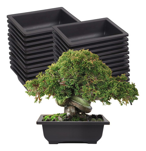 Kinjoek 25 Macetas De Entrenamiento De Bonsai De Plastico De