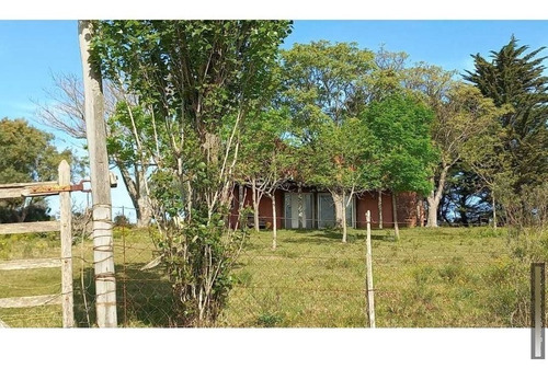 Imagen 9 de 23 de Chacra 8 Ha En San Carlos, Punta Del Este Zona Corte De La Leña Cañada Bellaca