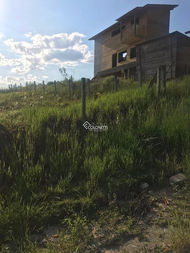 Imagem 4 de 8 de Terreno - Vila Sao Jorge - Ref: 1633 - V-1633
