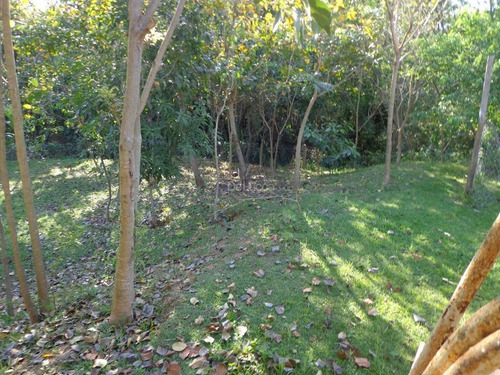 Imagem 11 de 23 de Chácara À Venda Em Chácara Bela Vista - Ch017038