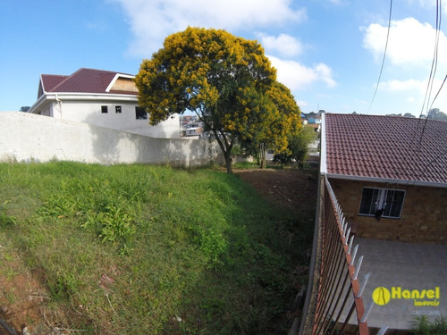 Imagem 6 de 10 de Terreno Para Venda - 90815.001
