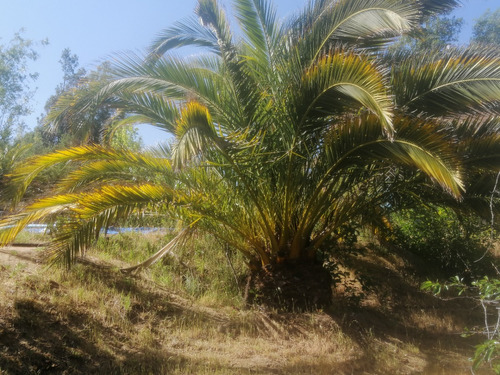 Tu Refugio Sostenible: Parcela De Agrad Entre Tiltil Y Olmue
