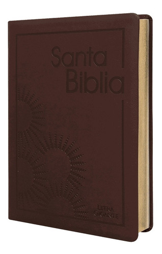 Biblia Reina Valera 1960 Letra Grande Pjr Bordo Concordancia