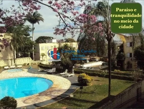 Imagem 7 de 8 de Avenida Paris, Independência, Ribeirão Preto - 30950
