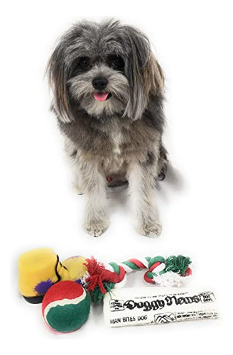 Calcetín Navideño Para Perros. Juguete Para Periódicos O Bot
