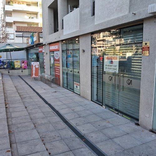 Local Los Leones - General Artigas
