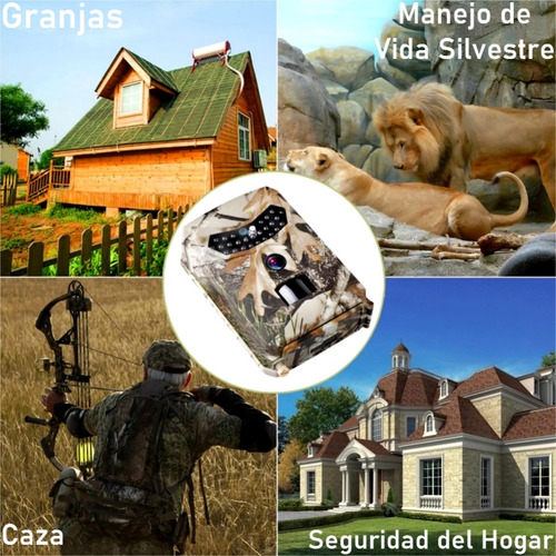 Cámara De Vigilancia Caza Infrarroja Camuflada Usb/pilas Hd