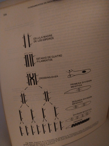 Libro Fundamentos De Biología Celular Y Molecular De Roberti (Usado)