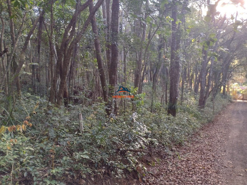 Imagem 4 de 6 de Terreno - Te00079 - 70044799