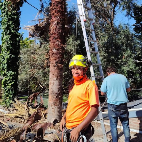Poda En Altura Profesional, Talas Y Extracciones