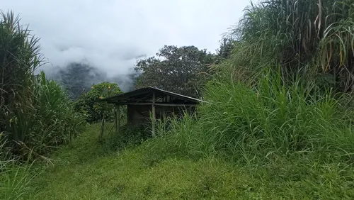 Venta Finca En La Montaña Cerca Al Lago Calima