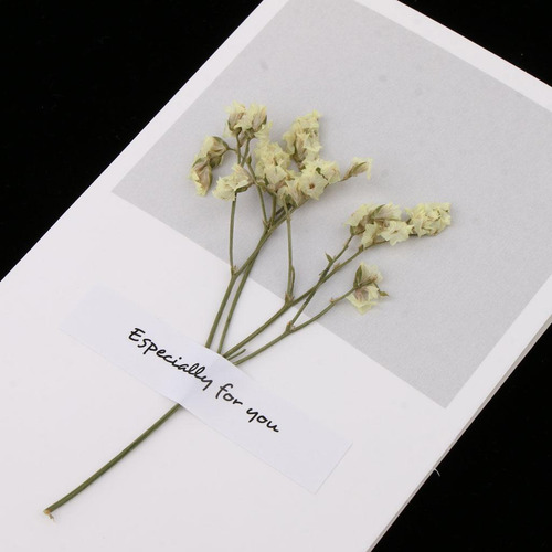 Paquete Flores Secas Tarjetas De Felicitación Amarillo