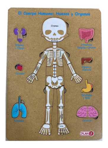 Imagen 2 de 5 de Juego Didactico Encastre Madera Cuerpo Humano Infantil Planz