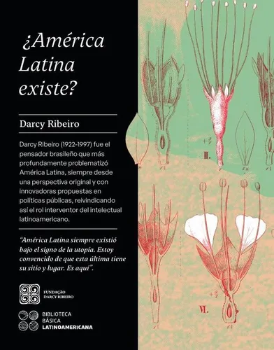 ¿américa Latina Existe? - Ribeiro, Nepomuceno