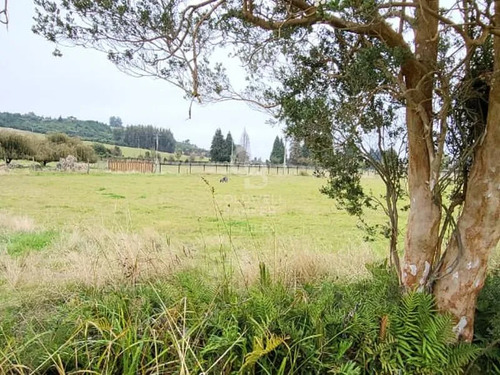 Parcela En Frutillar: Naturaleza Y Conectividad