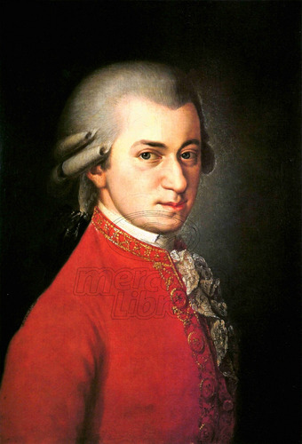 Lienzo Tela Arte Canvas Retrato Mozart Sig 19 Música 74x50