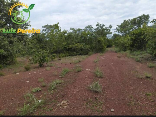 Imagem 8 de 15 de Fazenda À Venda Em Fátima - To - De 62 Alqueirões (dupla Aptidão) - 1786
