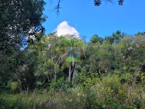 Imagen 9 de 23 de Campo Turístico 38 Hás En Zanja Del Tigre
