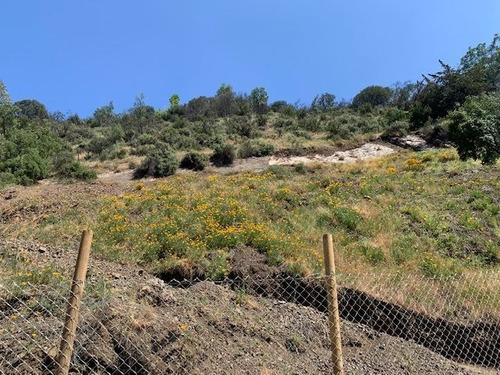 Imagen 8 de 16 de Sitio En Venta En El Arrayan