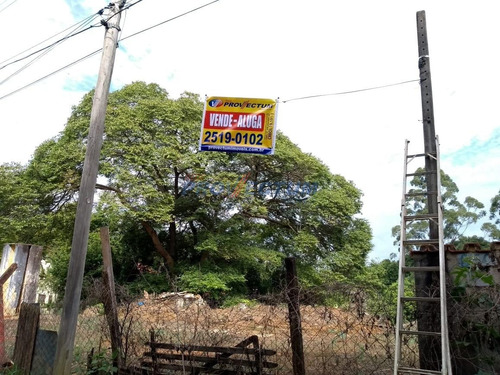 Imagem 6 de 6 de Terreno À Venda Em Vila Ipê - Te195433