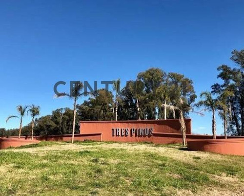 Imagen 6 de 30 de Lote Venta Barrio Cerrado Villa De Campo 3 Pinos General Rodriguez