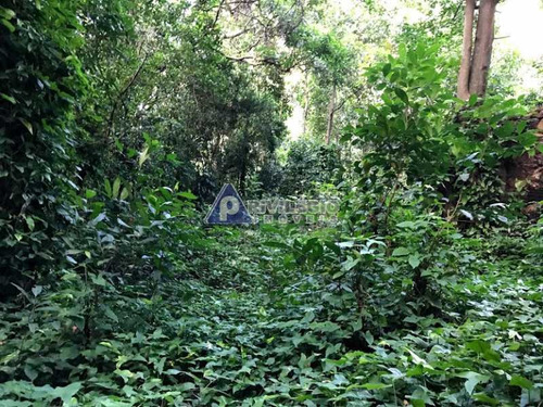 Imagem 14 de 17 de Terreno No Cosme Velho - 12131