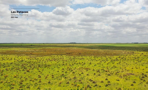 Campo De 255 Hectáreas En Las Petacas, Santa Fe