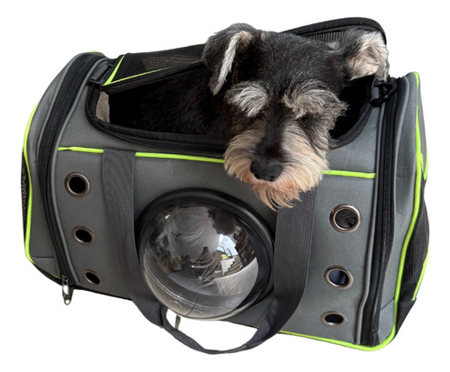 Transportadora De Gatos Y Perros Pequeños Con Cápsula Visión Negro / Verde