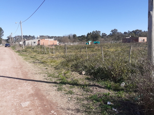 Imagen 2 de 14 de Se Venden 3 Lotes En Pontevedra