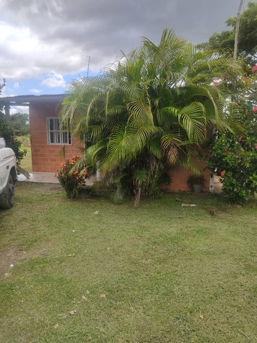 Vendo Hermosa Finca En Tocuyito 5000mts2 Gs