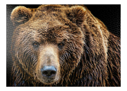Brown Bear Ursus Arctos Beringianus - Rompecabezas Premium D