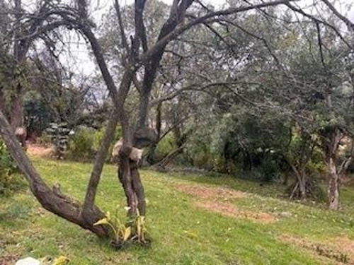 Terreno Residencial En Venta En Contadero