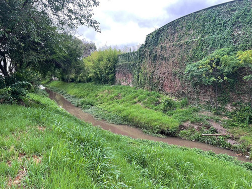 Imagen 5 de 23 de Terreno - Barrio Centro