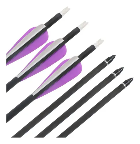 Flecha 32 Inch Carbon Punta Removible X 12 Violeta Blanco