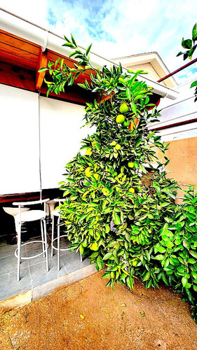 Los Pinares Colina 3d 3b Estacionamiento Terraza