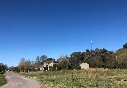 Imagen 3 de 5 de Lote | Las Casuarinas