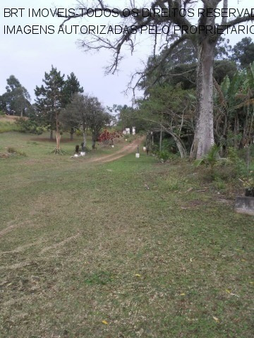 Imagem 25 de 25 de Chacara - Ch00309 - 68152947