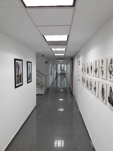 Imagen 1 de 14 de Oficinas De Lujo Disponibles Alce Blanco