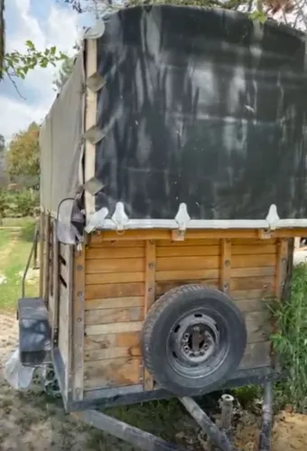 Trailer Para Caballos