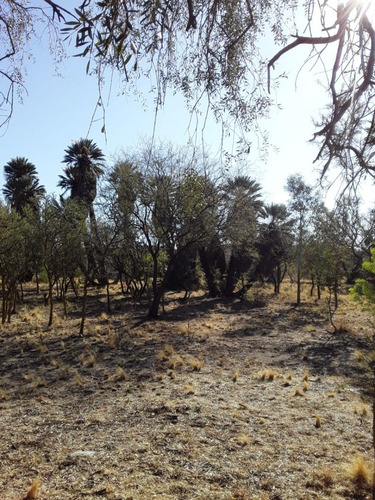 Imagen 15 de 17 de Chacra Rural Con Galpon
