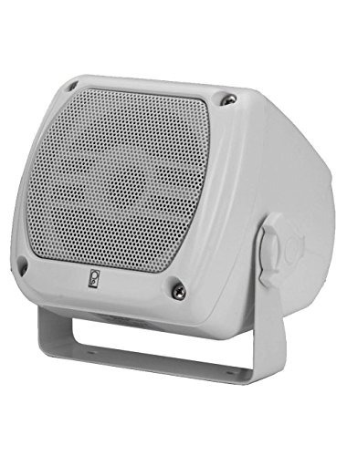 Poly-planar Subcompacto Caja Del Altavoz De 80w (pr White)