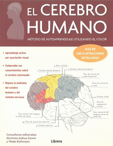 El Cerebro Humano - Gowin, Kothmann