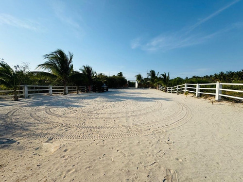 Casa De Una Planta En Venta Ubicada En Carretera Chicxulub Puerto.
